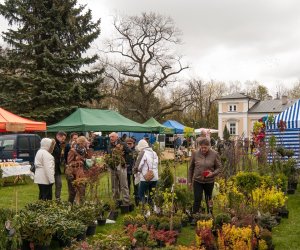 Codziennik Muzealny - Jarmark św. Wojciecha