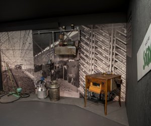 „Restauracja obiektów zespołu pałacowo-parkowego wraz z konserwacją muzealiów Muzeum Rolnictwa im. Ks. Krzysztofa Kluka w Ciechanowcu” „Restauracja obiektów zespołu pałacowo-parkowego wraz z konserwacją muzealiów Muzeum Rolnictwa im. Ks. Krzysztofa Kluka w Ciechanowcu”