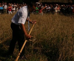 IX Podlaskie Święto Chleba