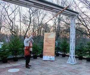 Galeria z 5 grudnia 2015