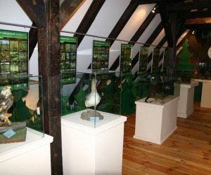 Nasza przyroda, Zagrożenia, cele i formy jej ochrony