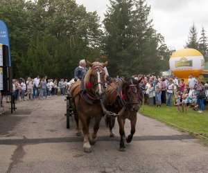 XVI Podlaskie Święto Chleba