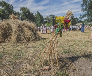 XV Podlaskie Święta Chleba w Muzeum Rolnictwa im. ks. Krzysztofa Kluka w Ciechanowcu XV Podlaskie Święta Chleba w Muzeum Rolnictwa im. ks. Krzysztofa Kluka w Ciechanowcu