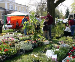 Jarmark Świętego Wojciecha