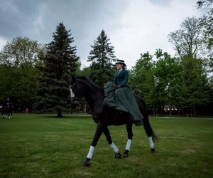 Noc Muzeów 2019 - fotorelacja Noc Muzeów 2019 - fotorelacja