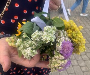 NIECOdziennik Muzealny - Żywa tradycja