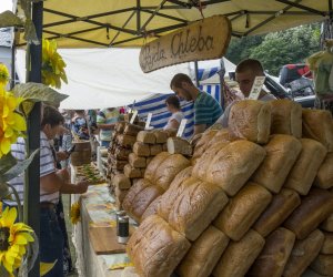XX Podlaskie Święto Chleba - fotorelacja XX Podlaskie Święto Chleba - fotorelacja