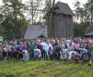 „Jesień w polu i zagrodzie” 2023 r. - fotorelacja i podsumowanie