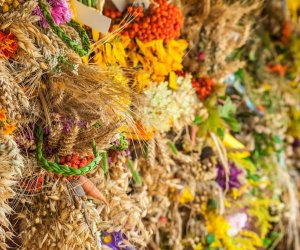XV Podlaskie Święta Chleba w Muzeum Rolnictwa im. ks. Krzysztofa Kluka w Ciechanowcu XV Podlaskie Święta Chleba w Muzeum Rolnictwa im. ks. Krzysztofa Kluka w Ciechanowcu