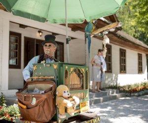 DZIAŁ PROMOCJI DZIAŁ PROMOCJI