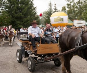 XVI Podlaskie Święto Chleba