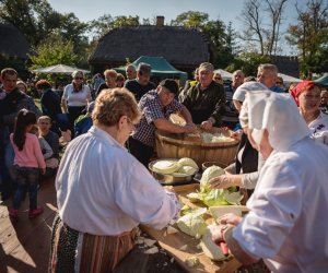 Jesień w polu i zagrodzie - fotorelacja Jesień w polu i zagrodzie - fotorelacja