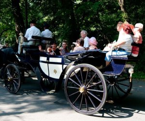 X PODLASKIE ŚWIĘTO CHLEBA