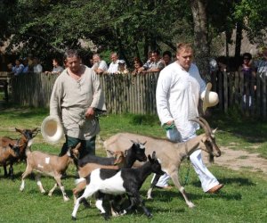 IX Podlaskie Święto Chleba IX Podlaskie Święto Chleba