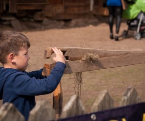 Impreza plenerowa - Jesień w Polu i Zagrodzie