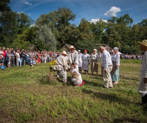 XVIII Podlaskie Święto Chleba - fotorelacja XVIII Podlaskie Święto Chleba - fotorelacja