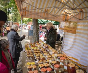 Jesień w polu i zagrodzie - fotorelacja Jesień w polu i zagrodzie - fotorelacja