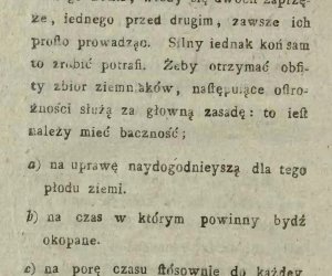 Niecodziennik muzealny - Uprawa ziemniaków w Polsce w XVIII i pierwszych dekadach XIX wieku. Niecodziennik muzealny - Uprawa ziemniaków w Polsce w XVIII i pierwszych dekadach XIX wieku.