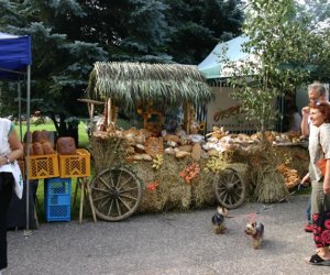 VII PODLASKIE ŚWIĘTO CHLEBA