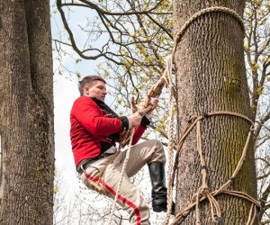 Jarmark św. Wojciecha 2016