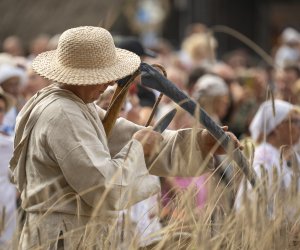 XXIII Podlaskie Święto Chleba - fotorelacja XXIII Podlaskie Święto Chleba - fotorelacja