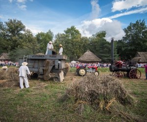 XVIII Podlaskie Święto Chleba - fotorelacja XVIII Podlaskie Święto Chleba - fotorelacja