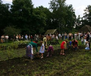 Wykopki w skansenie 2009