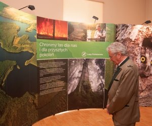 Jarmark Św. Wojciecha i Festyn Leśny 2014 Jarmark Św. Wojciecha i Festyn Leśny 2014