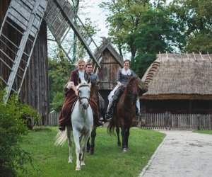 X Zajazd Wysokomazowiecki - fotorelacja