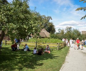 XVIII Podlaskie Święto Chleba - fotorelacja