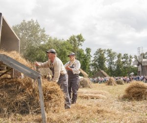 XVI Podlaskie Święto Chleba