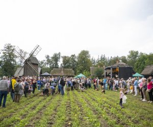 Jesień w polu i zagrodzie - fotorelacja - 15 września 2024