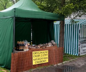 Jarmark św. Wojciecha i Święto Lasu Jarmark św. Wojciecha i Święto Lasu