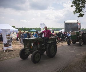 Piknik "Poznaj dobrą żywność" 2019 - fotorelacja Piknik "Poznaj dobrą żywność" 2019 - fotorelacja