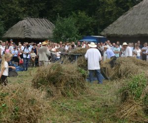 VII PODLASKIE ŚWIĘTO CHLEBA