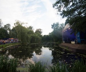 XVII Podlaskie Święto Chleba - fotorelacja XVII Podlaskie Święto Chleba - fotorelacja