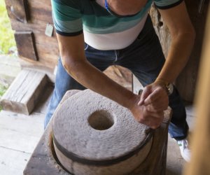 Jesień w polu i zagrodzie 2021 - fotorelacja Jesień w polu i zagrodzie 2021 - fotorelacja