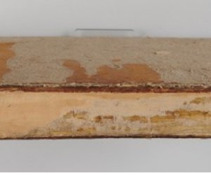 Przeprowadzenie prac konserwatorskich starodruków ze zbiorów działu weterynarii Przeprowadzenie prac konserwatorskich starodruków ze zbiorów działu weterynarii