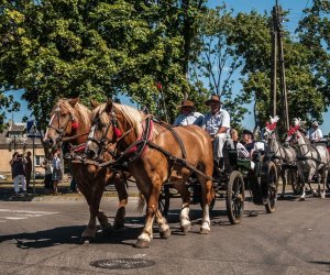 XV Podlaskie Święta Chleba w Muzeum Rolnictwa im. ks. Krzysztofa Kluka w Ciechanowcu XV Podlaskie Święta Chleba w Muzeum Rolnictwa im. ks. Krzysztofa Kluka w Ciechanowcu