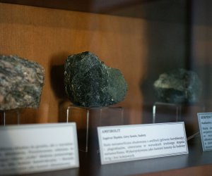 DZIAŁ HISTORYCZNY DZIAŁ HISTORYCZNY