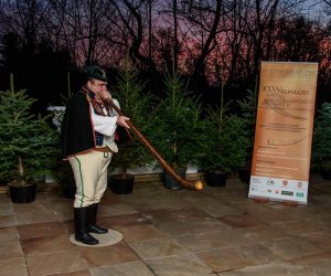 Galeria z 5 grudnia 2015