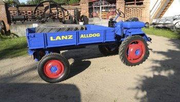 Wyglądają przepięknie