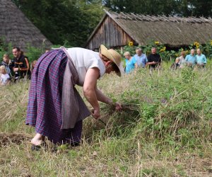 XVI Podlaskie Święto Chleba