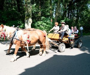 X PODLASKIE ŚWIĘTO CHLEBA