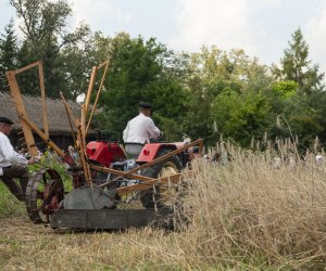 XXIII Podlaskie Święto Chleba - fotorelacja XXIII Podlaskie Święto Chleba - fotorelacja