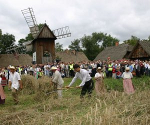 VIII PODLASKIE ŚWIĘTO CHLEBA