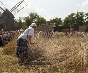 XXIII Podlaskie Święto Chleba - fotorelacja XXIII Podlaskie Święto Chleba - fotorelacja