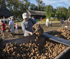 Jesień w polu i zagrodzie 2021 - fotorelacja Jesień w polu i zagrodzie 2021 - fotorelacja