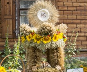 XX Podlaskie Święto Chleba - fotorelacja XX Podlaskie Święto Chleba - fotorelacja