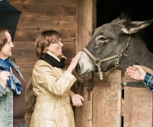 Obchody Jubileuszu 50-lecia Muzeum Rolnictwa w Ciechanowcu, 3-5 października Obchody Jubileuszu 50-lecia Muzeum Rolnictwa w Ciechanowcu, 3-5 października